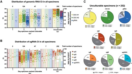 RNA and antigen results by culture isolation. A and B, The cycle threshold values determined by quantitative reverse-transcription polymerase chain reaction (qRT-PCR) for all clinical specimens targeting genomic severe acute respiratory syndrome coronavirus 2 RNA (gRNA) and subgenomic RNA (sgRNA) are plotted by the indicated group along the x-axis. Above each dot plot are the total number of culturable or unculturable specimens isolated on a given day after inoculation of VeroE6-TMPRSS2 cells. Bars plotted on the right y-axis indicate the percentage of specimens with detectable RNA for each group. Solid red circles represent original clinical specimens negative for spike or nucleocapsid antigen by enzyme-linked immunosorbent assay. C, For all unculturable specimens, antigen presence was compared to specimens testing positive or negative for the indicated analyte. Dark gray slices represent specimens that were qRT-PCR negative for the given analyte, but antigen positive for spike or nucleocapsid antigen, while white slices represent specimens qRT-PCR negative and antigen negative. Abbreviations: CDC, Centers for Disease Control and Prevention; Ct, cycle threshold; Cx+, culturable; Cx–, unculturable; E, envelope; gRNA, genomic RNA; M, membrane; N, nucleocapsid; ORF, open reading frame; PCR, polymerase chain reaction; S, spike; sg, subgenomic.