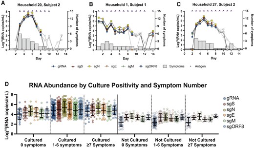 RNA fluctuation during the molecular time course of infection. A–C, Calculated RNA copies/mL are plotted by day of sampling along the x-axes for selected participants. Gray data points indicate unculturable specimens, while colored symbols indicate the culturable specimens. The number of self-reported symptoms shown in gray bars are plotted on the right y-axes. Specimens positive for antigen are represented with an “A” at the top of each data point. Specimens with undetectable RNA by quantitative reverse-transcription polymerase chain reaction for any given analyte were arbitrarily assigned a value 0. D, Specimens were grouped by number of symptoms reported and culture result. Standard curves generated using synthetic RNA for each analyte were used to determine the number of RNA molecules per reaction. Specimens with no detectable RNA are not plotted and did not factor into the mean or 95% confidence interval. Abbreviations: E, envelope; gRNA, genomic RNA; M, membrane; N, nucleocapsid; ORF, open reading frame; S, spike; sg, subgenomic.