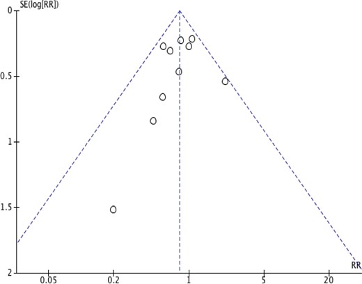 Funnel plot showing the assessment of publication bias. Abbreviations: RR, risk ratio; SE, standard error.