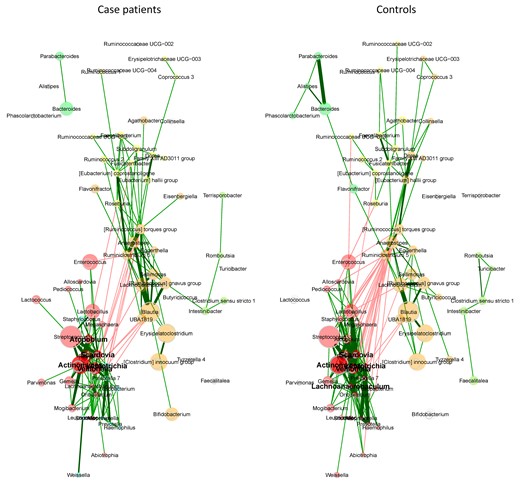 Network analysis of the gut microbiota. Two clusters have the same color in both groups if they have ≥2 nodes in common. Node sizes are scaled to the column sums of centered log-ratio-transformed data. Edge weights are (nonnegative) similarities, with red and green representing negative and positive associations, respectively.