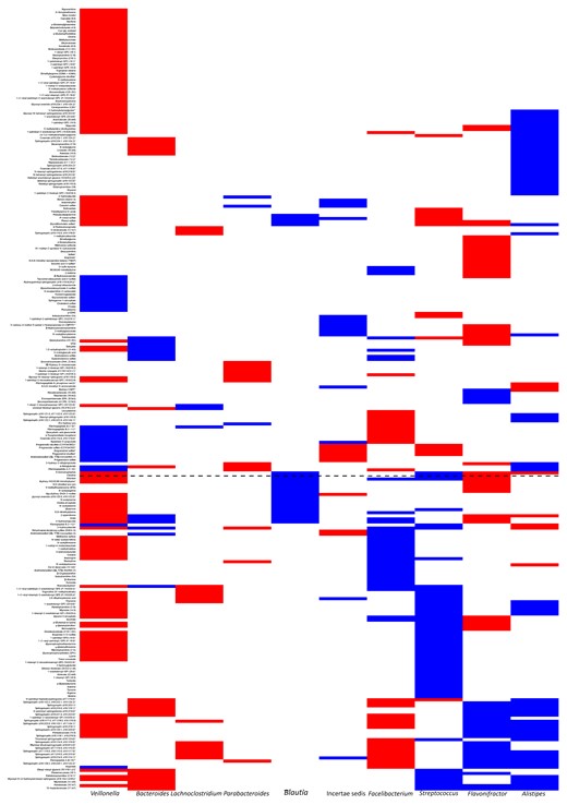 Gut microbiome predictors of next-day metabolome. Results of sparse linear log-contrast modeling using the gut microbiota as predictors of next-day serum metabolome in patients with acute myeloid leukemia. The genera along the x-axis are those that remained in >90 of the 100 bootstraps and showed a uniformly positive or negative association with ≥1 metabolite. Red and blue represent negative and positive associations, respectively. Associations with <90% consistency across the bootstraps are not colored. Blautia is shown in a larger font, and the dashed horizontal line indicates citrulline. This plot is provided in tabular format in Supplementary Data 4 for better visibility of metabolite names.