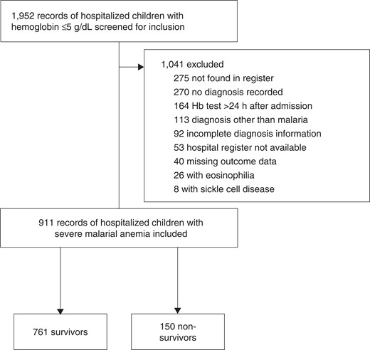Record screening and inclusion. Abbreviation: Hb, hemoglobin.