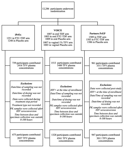 Enrollment, follow-up, and pharmacokinetics (PK) inclusion criteria for study participants. FTC, emtricitabine; HIV, human immunodeficiency virus; PrEP, preexposure prophylaxis; TDF, tenofovir disoproxil fumarate; TFV, tenofovir.