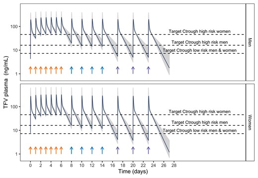 PK model simulations in men and women following oral administration of TDF (300 mg) for sample adherence patterns. Dark blue line represents the typical PK population profile, whereas gray shadows represent individual PK profiles (200) including interindividual variability variability. Dashed lines indicate the target Ctrough levels associated with a 90% decrease in the probability of HIV for men and women at high-moderate subgroups and for those in a low-risk subgroup. Arrows indicate the time the dose is administered. Sample adherence patters are daily (orange arrows), every 2 days (blue arrows), and every 3 days (purple arrows). HIV, human immunodeficiency virus; PK, pharmacokinetics; TDF, tenofovir disoproxil fumarate.