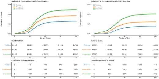 Cumulative incidence of documented SARS-CoV-2 infections by vaccination status and manufacturer. Shaded areas describe 95% confidence intervals. Abbreviation: SARS-CoV-2, severe acute respiratory syndrome coronavirus 2.