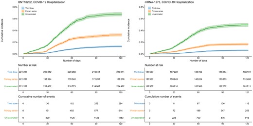 Cumulative incidence of COVID-19 hospitalizations by vaccination status and manufacturer. Shaded areas describe 95% confidence intervals. Abbreviation: COVID-19, coronavirus disease 2019.