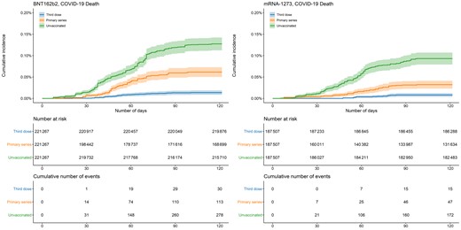 Cumulative incidence of COVID-19 deaths by vaccination status and manufacturer. Shaded areas describe 95% confidence intervals. Abbreviation: COVID-19, coronavirus disease 2019.