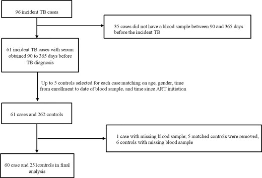 Flow chart of matched case-control study. Abbreviations: ART, antiretroviral therapy; TB, tuberculosis.