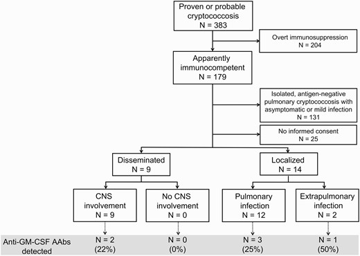 Flowchart illustrating patients enrolled and analyzed in the study. Abbreviations: AAbs, autoantibodies; CNS, central nervous system; GM-CSF, granulocyte-macrophage colony-stimulating factor.