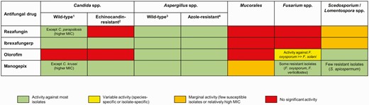In vitro activity of novel antifungal agents against the most relevant invasive fungal pathogens. Wild-type Candida spp. include most Candida pathogens, including C. albicans, C. glabrata, C. tropicalis, C. krusei, and C. parapsilosis. Echinocandin-resistant Candida spp. are mainly C. albicans, C. glabrata, and C. auris with acquired azole and echinocandin resistance. Wild-type Aspergillus include most wild-type Aspergillus pathogens, including A. fumigatus, A. flavus, A. niger, and A. terreus. Azole-resistant Aspergillus spp. include A. fumigatus isolates with acquired cyp51A mutations and some cryptic species (eg, A. lentulus, A. udagawae, and A. calidoustus). Abbreviation: MIC, minimal inhibitory concentration.