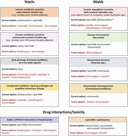 Current and future options for the treatment of “difficult-to-treat” invasive fungal infections. aIncluding currently licensed echinocandins (caspofungin, micafungin, and anidulafungin). bDrugs with comparable spectrum to echinocandins (ibrexafungerp more active for echinocandin-resistant Candida spp.). cIntravenous formulation under development. dLess active against Aspergillus spp. (only fungistatic), may be considered in combination therapy. eSpecies dependent, possible combination therapy (data from single animal model). fFusarium complex dependent. gNo activity against Mucorales.