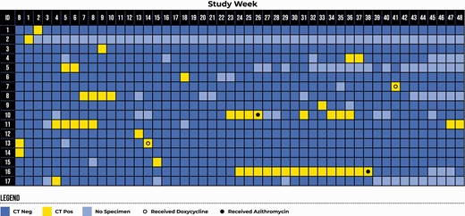 Weekly pharyngeal chlamydia test result for participants who had at least 1 week of a positive pharyngeal chlamydia test at baseline or during the 48-week follow-up period. Participants 13 and 14 waited 3 weeks prior to initiating study procedures because they were CT-positive at baseline. Abbreviations: B, baseline; CT, Chlamydia trachomatis.