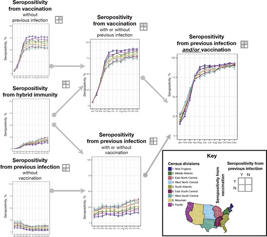 Population-weighted percentages of seropositivity (with 95% confidence intervals) by previous severe acute respiratory syndrome coronavirus 2 (SARS-CoV-2) infection and coronavirus disease 2019 (COVID-19) vaccination status, stratified by geographic location. Previous SARS-CoV-2 infection was defined as seropositivity for anti-nucleocapsid antibody or, in the absence of reported vaccination, for anti-spike antibody. Vaccination was defined as self-report of ≥1 COVID-19 vaccine dose on the donor history questionnaire (Supplementary Table 1). Abbreviations: N, no; Y, yes.