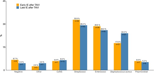Microbiological etiology of 119 cases of early (≤12 m) IE after TAVI versus 153 cases of late (>12 m) IE after TAVI. Abbreviations: CoNS, coagulase-negative staphylococci; IE, infective endocarditis; TAVI, transcatheter aortic valve implantation.