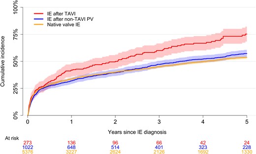 Long-term mortality. Five-year unadjusted mortality following IE after TAVI and native valve IE based on a reverse Kaplan-Meier curve. The shaded areas represent the 95% confidence interval for the IE after TAVI, IE after non-TAVI PV, and native valve IE groups, respectively. Abbreviations: IE, infective endocarditis; PV, prosthetic valve; TAVI, transcatheter aortic valve implantation.