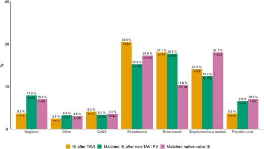 Microbiological etiology of 273 patients with IE after TAVI and 819 matched patients with native valve IE. Matching criteria were age, sex, and calendar year of IE. Percentages above the bars sum to 100% within groups. Numbers inside the bars sum to the total amount of cases within groups. Abbreviations: CoNS, coagulase-negative staphylococci; IE, infective endocarditis; PV, prosthetic valve; TAVI, transcatheter aortic valve implantation.