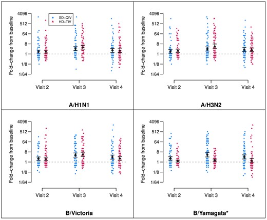 Fold-rises by vaccine group and dose. Depiction of titer fold-rises from baseline (visit 1, prior to the first dose), shown by randomization group (SD-QIV and HD-TIV) for each antigen and each follow-up visit. The estimated GMFR and 95% confidence intervals are depicted in black. Visit 2 titers are measured at a target window of 28–42 d following the first dose (prior to the second dose), visit 3 titers are measured at a target window of 28–42 d following the second dose, and visit 4 titers are measured at a target window of 138–222 d following the second dose. All GMFRs were significantly different from zero across time points for both vaccine groups with the exception of B/Yamagata for HD-TIV at visit 4 (*B/Yamagata was not included in HD-TIV). Abbreviations: GFMR, geometric mean fold-rise; HD-TIV, high-dose trivalent influenza vaccine; SD-QIV, standard-dose quadrivalent influenza vaccine.