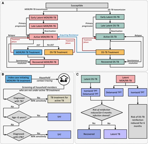 Schematic representation of tuberculosis (TB) natural history and modeled interventions. A, Natural history of drug-susceptible TB and multidrug- or rifampin-resistant TB; risk of mortality is included in the model and applies to all simulated individuals but for simplicity is not shown here. B, Household contact investigation process. Household contacts diagnosed with active TB and those receiving TB treatment are ineligible for TB preventive treatment (TPT). C, Modeled effects of isoniazid and delamanid TPT; prevention of relapse among recently recovered patients is also included but not shown here. Relapse risk is present only in the first 2 years after treatment of active TB and does not apply to those in the recovered state after preventive treatment. Abbreviations: DS-TB, drug-susceptible tuberculosis; LTBI, latent tuberculosis; MDR/RR-TB, multidrug- or rifampin-resistant tuberculosis; TB, tuberculosis; TPT, tuberculosis preventive treatment.