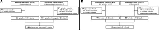 Flowchart of included patients in (A) Lausanne University Hospital and (B) in University Hospital Zurich. Abbreviation: IE, infective endocarditis.