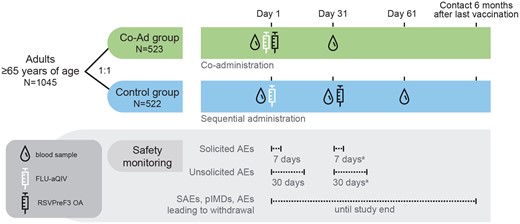 Study design. Abbreviations: AE, adverse event; FLU-aQIV, adjuvanted inactivated seasonal quadrivalent influenza vaccine; pIMD, potential immune-mediated disease; RSVPreF3 OA, respiratory syncytial virus prefusion F protein-based vaccine; SAE, serious adverse event. aApplies to Control group only.