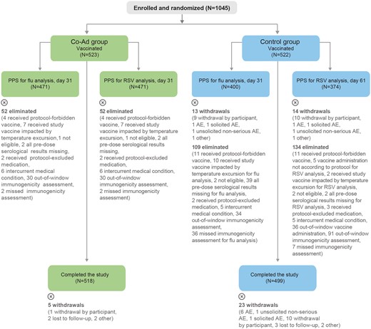Flow of participants. For eliminations from the PPS, multiple reasons could apply for 1 participant; all reasons are listed in the figure. Co-Ad, group of participants who received RSVPreF3 OA and FLU-aQIV concomitantly on day 1. Control, group of participants who received FLU-aQIV on day 1 and RSVPreF3 OA on day 31; N, number of participants in the indicated analysis set and group. Abbreviations: AE, adverse event; FLU-aQIV, adjuvanted inactivated seasonal quadrivalent influenza vaccine; PPS, per-protocol sets for immunogenicity; RSVPreF3 OA, respiratory syncytial virus (RSV) prefusion F protein-based vaccine.