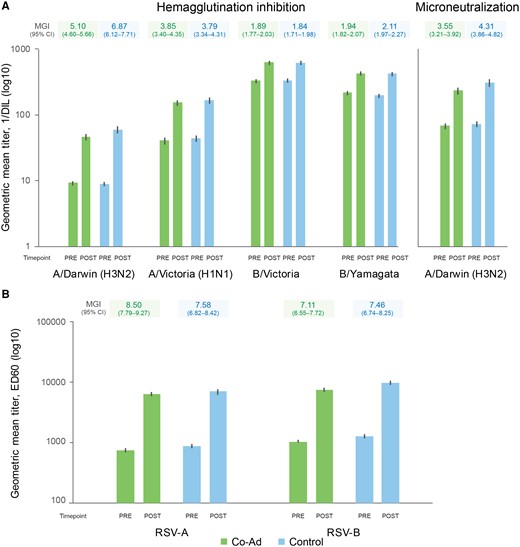 Geometric mean titers and mean geometric increases for influenza strains (A, per-protocol set for flu analysis) and for RSV-A and RSV-B neutralization titers (B, per-protocol set for RSV analysis). Co-Ad, group of participants who received RSVPreF3 OA and FLU-aQIV concomitantly on day 1; Control, group of participants who received FLU-aQIV on day 1 and RSVPreF3 OA on day 31; pre, before FLU-aQIV vaccination (day 1) for flu analysis or before RSVPreF3 OA vaccination (day 1 for Co-Ad group, day 31 for Control group) for RSV analysis; post, 1 m after FLU-aQIV vaccination (day 31) for flu analysis or 1 m after RSVPreF3 OA vaccination (day 31 for Co-Ad group, day 61 for Control group) for RSV analysis. Abbreviations: 1/DIL, 1/dilution; CI, confidence interval; ED60, estimated dilution 60; FLU-aQIV, adjuvanted inactivated seasonal quadrivalent influenza vaccine; MGI, mean geometric increase of the post- versus the pre-vaccination titers; RSVPreF3 OA, respiratory syncytial virus (RSV) prefusion F protein-based vaccine.