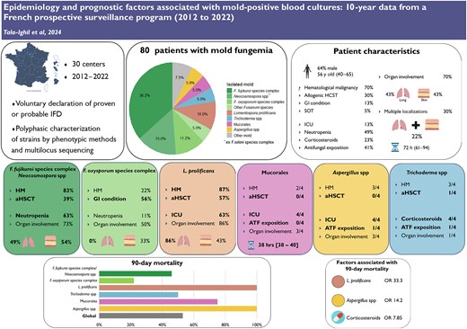 Graphical Abstract