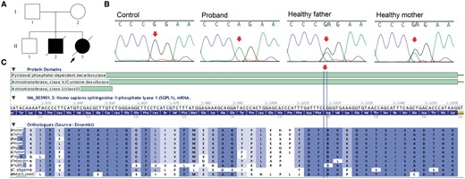 (A) Pedigree of the proband´s family. (B) Fragments of sequence chromatograms are shown for SGPL1. Red arrows indicate the position of the variant. (C) Part of the SGPL1 gene showing that the variant is located in a region well conserved throughout evolution (Alamut Visual 2.9.0).
