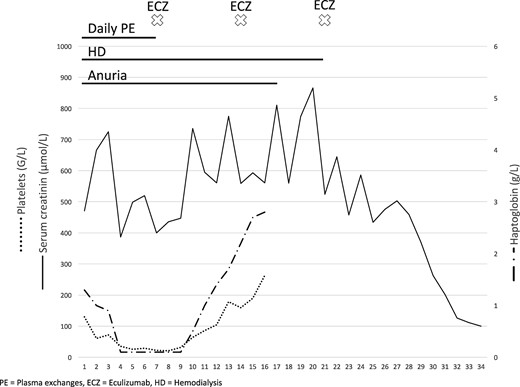 Chronological evolution of treatments and clinico-biological parameters.