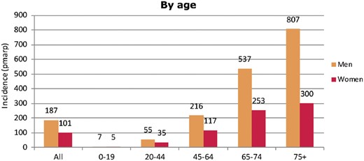 Incidence of RRT per million age-related population (pmarp) in 2016, at Day 1, by age and sex. Figure is only based on the data from registries providing individual patient data (see Appendix A1).
