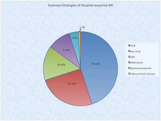 Pie chart demonstrating common causes of in-hospital AKI. ATN accounts for ∼50% of in-hospital AKI [5], followed by prerenal injury (20–30%) [6] and AIN [1–4]. The remainder is accounted for by obstructive uropathy, glomerular diseases/vasculitides and atheroembolic diseases, as well as other less common etiologies [5, 6].