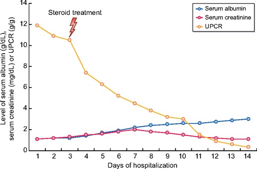 The course of the serum albumin (g/dL), UPCR (g/g) and serum creatinine (mg/dL) during follow-up.