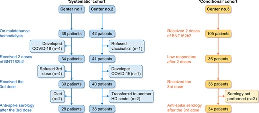 Study flowchart. The study was composed of two prospective observational cohorts. In the systematic cohort (left panel), all patients from two dialysis centres received a third dose of BNT162b2 regardless of the anti-S IgG titre measured after the second dose. In the conditional cohort (right panel), the third dose of BNT162b2 was given to patients who did not develop or developed a low anti-S IgG titre after the second dose.
