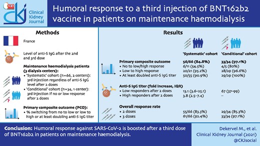Graphical Abstract