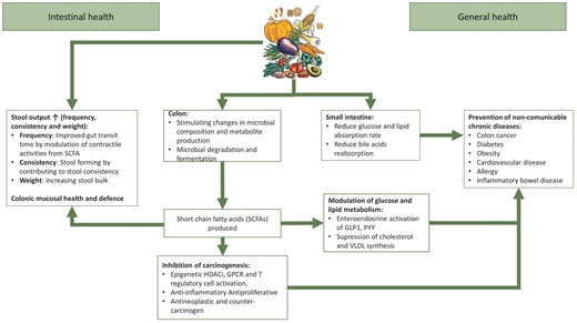 Functional effects of fiber in the intestinal and general health. There are several mechanisms by which dietary fiber exerts its functional properties in the gastrointestinal tract, including contributing to stool output (frequency, consistency and weight), stimulating changes in microbial composition and metabolite production including the production of short-chain fatty acids (SCFAs) in the colon and influencing glucose and lipid absorption in the small intestine. SCFAs have important effects in reducing inflammation, and on lipid and glucose metabolism which lead to positive systemic effects, in particular inhibition of carcinogenic mechanisms, protection against cardiovascular diseases (CVDs), diabetes and obesity, etc. HDACi, histone deacetylase inhibitor; GPCR, G-protein-coupled receptor; GLP-1, glucagon-like peptide-1; PYY, peptide YY; VLDL, very low-density lipoprotein.