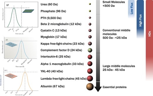 Effect of low flux HD, HF-HD and HDx on different UT in relation to pore size of the different dialyzers.