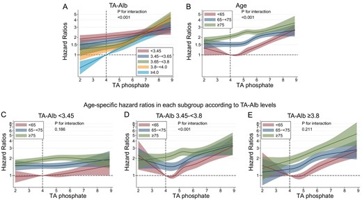 Relationship between TA phosphate and cardiovascular mortality in subgroups based on age or serum TA albumin (TA-Alb) levels. (A) TA-Alb, (B) age, (C) age among patients with serum TA-Alb levels <3.45 g/dL, (D) age among patients with serum TA-Alb levels of 3.45–<3.8 g/dL and (E) age among patients with serum TA-Alb levels ≥3.8 g/dL.