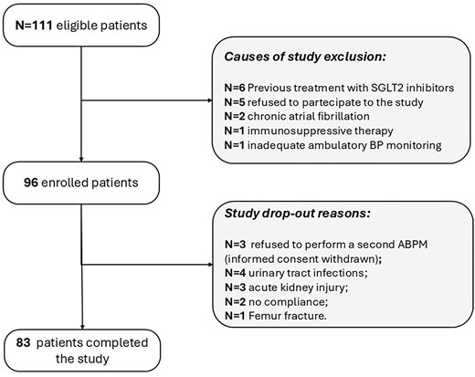 Flow chart of the study.