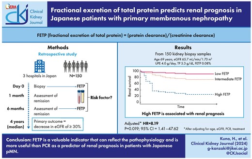 Graphical Abstract