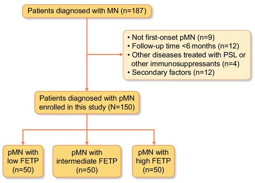 Flow diagram of study participants.