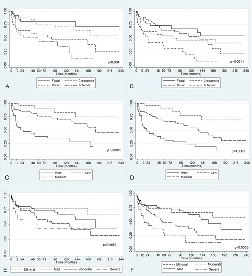 Kaplan–Meier survival curves for primary and secondary endpoint of Berden histological classification (A, B), RRS (C, D) and MCCS (E, F).