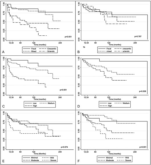 Kaplan–Meier survival curves for patients who required hemodialysis and for patients who died at the end of the follow-up, respectively, for Berden histological classification (A, B), RRS (C, D) and MCCS (E, F).