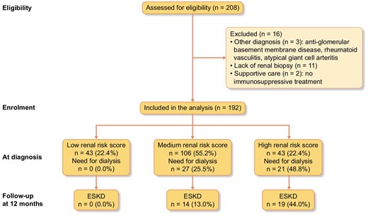 Study flow chart. The study flow chart shows the eligible population and the analysed population after the exclusion of patients with other diagnoses, the lack of a renal biopsy or receipt of supportive care.