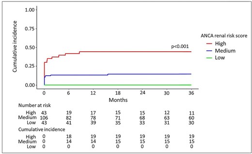 The cumulative incidence of ESKD at 36 months, according to the ARRS. Death was considered as a competing event, using a Fine–Gray model. The cumulative incidence of ESKD during the first 36 months of the study, as a function of the ARRS. The number of events and patients at risk are given under the figure.