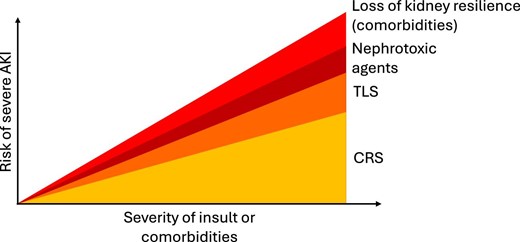 Factors contributing to the risk of severe AKI in relation to the severity of insult or comorbidities following CAR-T cell therapy.