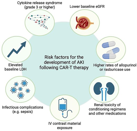 The potential risk factors for nephrotoxic adverse effects of CAR-T cell therapy.