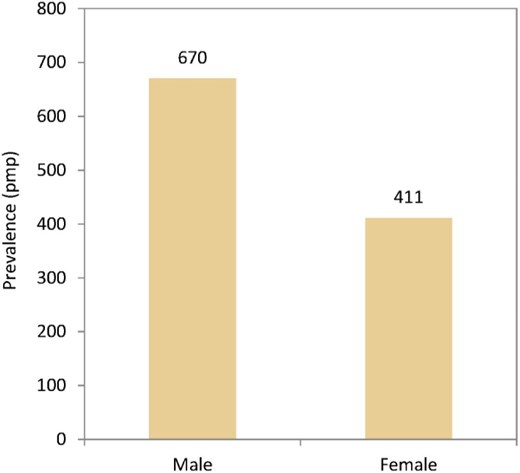 Prevalence of KRT per million population (pmp) on 31 December 2022 by sex, unadjusted.