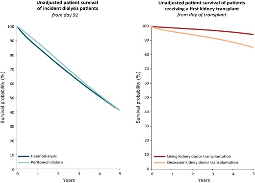 Patient survival for incident dialysis patients by modality (haemodialysis or peritoneal dialysis) from day 91 (cohort 2013–2017) (left panel) and for first-time kidney transplant recipients by donor type (deceased or living) from day of transplantation (cohort 2013–2017) (right panel).