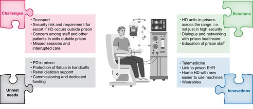 Challenges, solutions, innovations and unmet needs around dialysis in prisons. Icon modified from a template purchased under commercial licence from Vectorstock in November 2024. EHR denotes electronic health record.