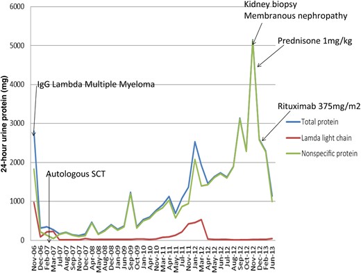 Trend of proteinuria in 24-h urine collections over the time course of treatment. The decreased lambda light chains in comparison to the total proteinuria illustrate the persistence of proteinuria in the setting of multiple myeloma being in remission. Dramatic improvement in proteinuria after steroid initiation with further improvement after rituximab treatment is also illustrated.